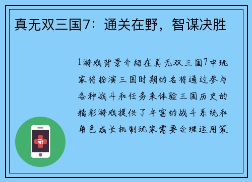 真无双三国7：通关在野，智谋决胜